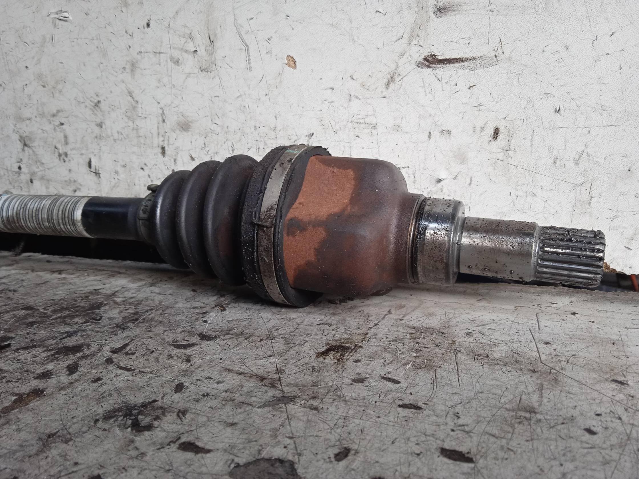 Semialbero ant. compl. sx.